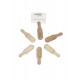 Wood Horizon 6lı Baharat Kaşığı