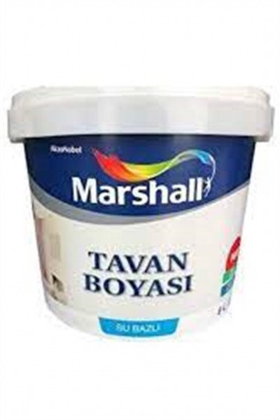 TAVAN BOYASI ORTA 6 L (10 KG)