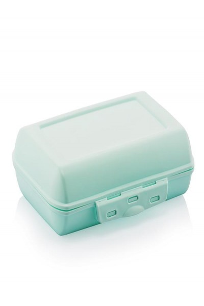 DÜNYA PLASTİK SIĞ LUNCH BOX 30601