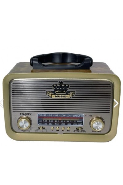 KRN029465 Everton RT-301 بلوتوث-USB-SD-FM راديو حنين قابل للشحن