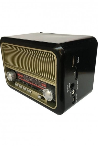 KRN029477 راديو إيفرتون RT-308 بلوتوث-USB-SD-FM الحنين