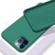 Apple - iPhone 12 Pro Max Lansman Silikon Kılıf - Yeşil