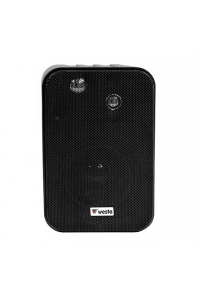 KRN015619 WESTA WM-305TB مكبر صوت ثنائي الاتجاه 100 وات - أسود