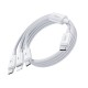 Benks D46 Type-C إلى Type-C & Type-C & Lightning PD3.0 كابل شحن وبيانات مجدول 100 وات 1.2 متر Benks D46 Type-C إلى Type-C & Type-C & Lightning PD3.0 كابل شحن وبيانات مجدول 100 وات 1.2 متر