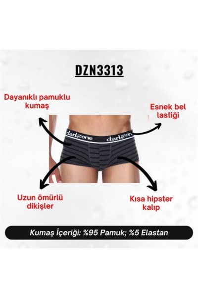 Çizgi Desenli Kısa Erkek Boxer - DZN3313