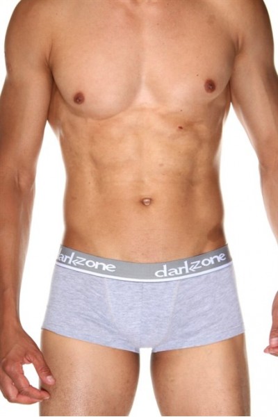 Gri Kısa Erkek Boxer - DZN3303