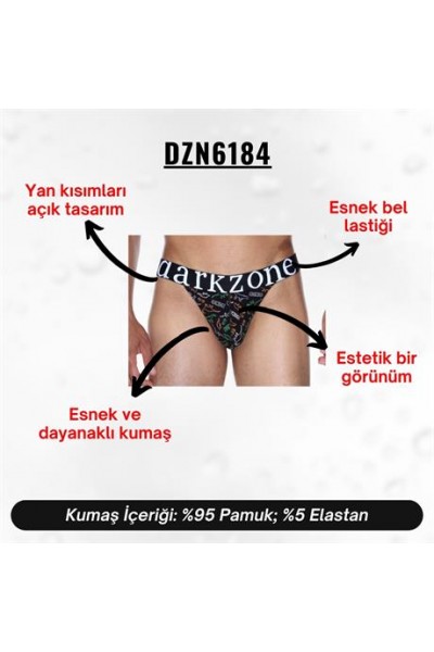 Geniş Lastikli Dinazor Desenli Erkek Slip Külot - DZN6184