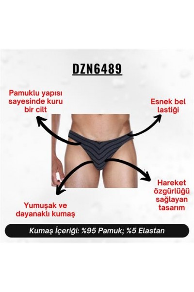 Çizgili Antrasit Erkek Slip - DZN6489