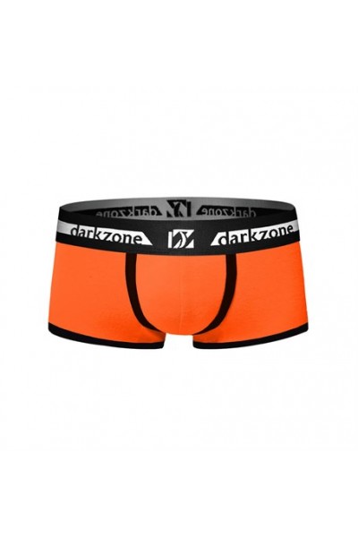 Biyeli Turuncu Erkek Boxer - DZN3208