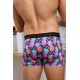 Ananas Desenli Boxer (Dijital Baskılı) - DZN2064