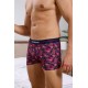 Flamingo Desenli Boxer (Dijital Baskılı) - DZN2062