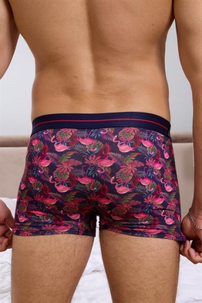 Flamingo Desenli Boxer (Dijital Baskılı) - DZN2062