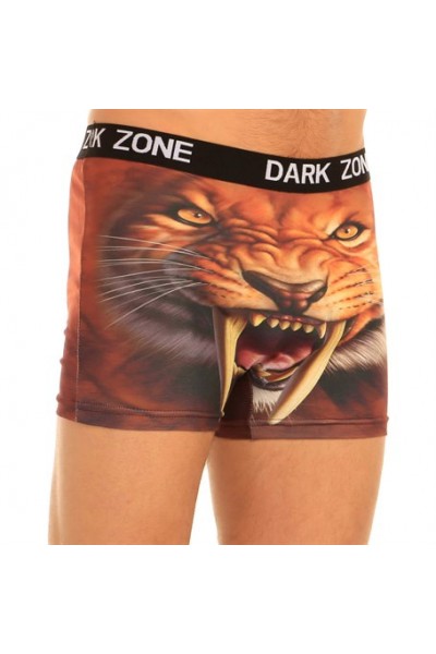 Aslan Desenli 3D Boxer - DZN1005