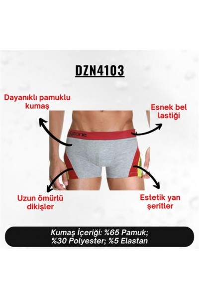 Gri Parçalı Desenli Erkek Boxer - DZN4103