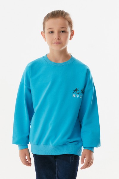 Yılan Baskılı Bisiklet Yaka Erkek Çocuk Sweatshirt