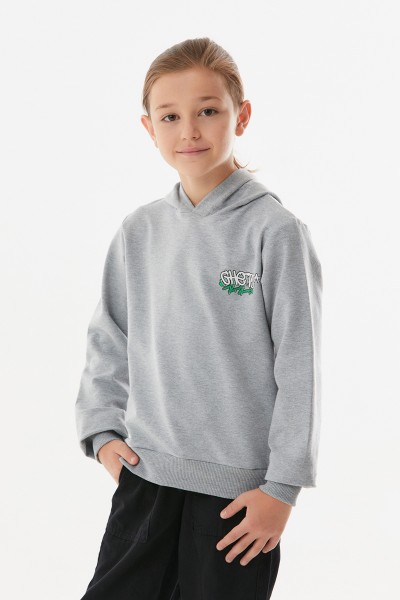 Ayıcık Baskılı Kapüşonlu Sweatshirt