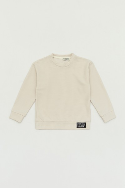 Basic Bisiklet Yaka Erkek Çocuk Sweatshirt