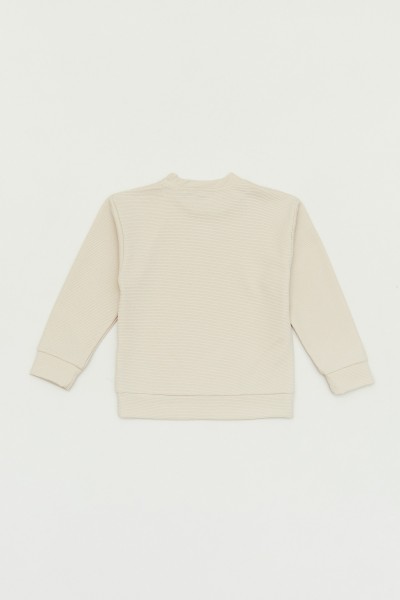 Basic Bisiklet Yaka Erkek Çocuk Sweatshirt