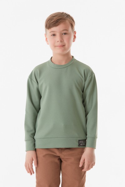 Basic Bisiklet Yaka Erkek Çocuk Sweatshirt