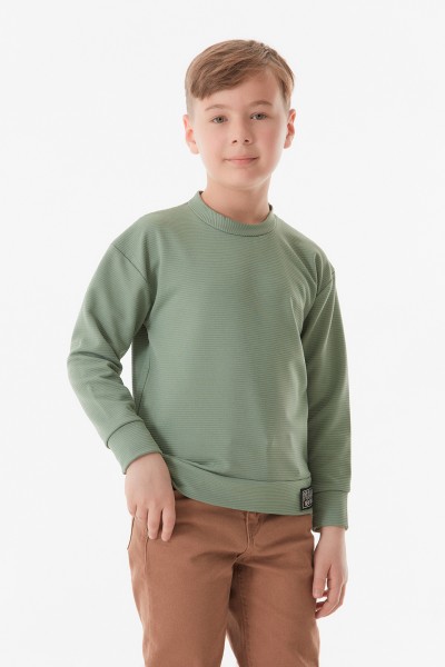 Basic Bisiklet Yaka Erkek Çocuk Sweatshirt